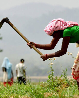 प्राङ्गारिक (अर्ग्यानिक) खेती के हो? फाइदा, विधि र आवश्यक सर्तहरू