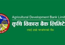 पशुपालन कर्जामार्फत किसानको आम्दानी बढाउने अभियानमा कृषि बैंक