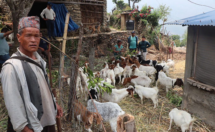 Kul-prashad-goat-farming