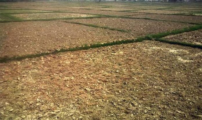 bajho-khet