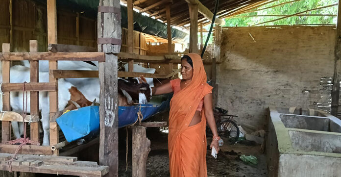 bakhrapalan