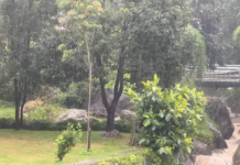 झरी परेको दिन, मनै रमाउने मौसम