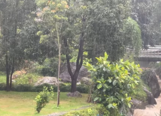 झरी परेको दिन, मनै रमाउने मौसम नेपालमा वर्षासम्बन्धी तस्बिर