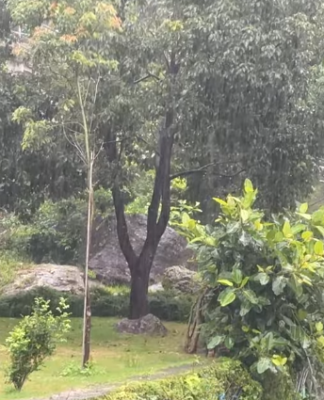 झरी परेको दिन, मनै रमाउने मौसम नेपालमा वर्षासम्बन्धी तस्बिर