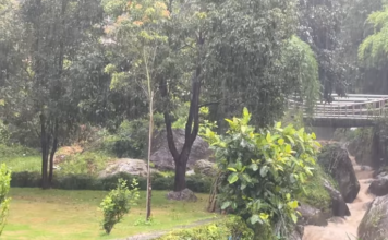 नेपालमा वर्षासम्बन्धी तस्बिर