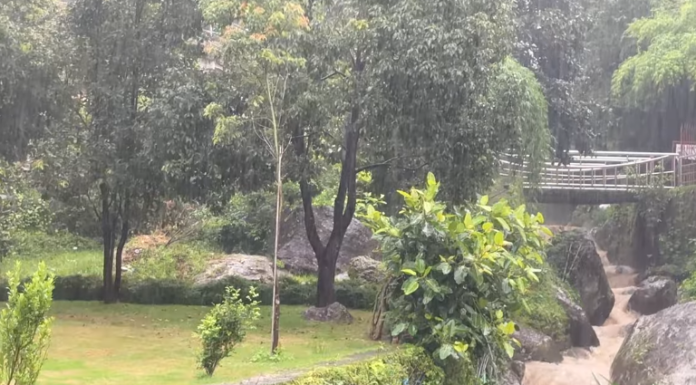 झरी परेको दिन, मनै रमाउने मौसम नेपालमा वर्षासम्बन्धी तस्बिर