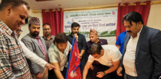 प्रतिनिधिमूलक तस्बिर