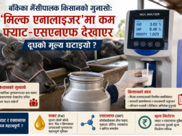 किसानको गुनासो: ‘मिल्क एनालाइजर’मा कम फ्याट–एसएनएफ देखाएर दूधको मूल्य घटाइयो