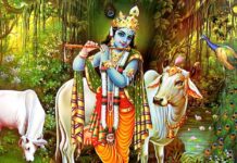 श्रीकृष्णको ग्रामीण जीवनमा कृषि उद्यमका आधुनिक पाठ खोजिँदै