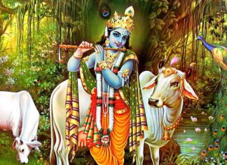श्रीकृष्णको ग्रामीण जीवनमा कृषि उद्यमका आधुनिक पाठ खोजिँदै कृष्णसम्बन्धी तस्बिर