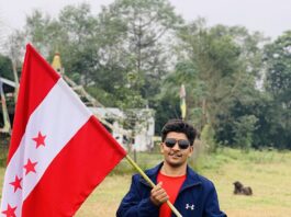 नेपाली कांग्रेसको झण्डा
