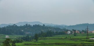 बाढीले १,८०६ हेक्टर कृषि भूमि क्षति, खाद्य उत्पादनमा ७,६८६ टन कमी हुने प्रारम्भिक अनुमान नेपालको पानौती क्षेत्रमा धान खेतीका खेत