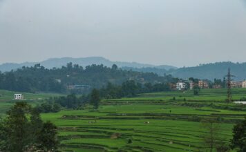 नेपालको पानौती क्षेत्रमा धान खेतीका खेत