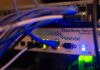 Network cables connected to computer networking equipment, illustrating digital infrastructure and cybersecurity