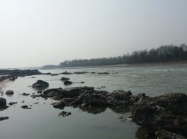 चितवनमा नारायणी नदीको दृश्य